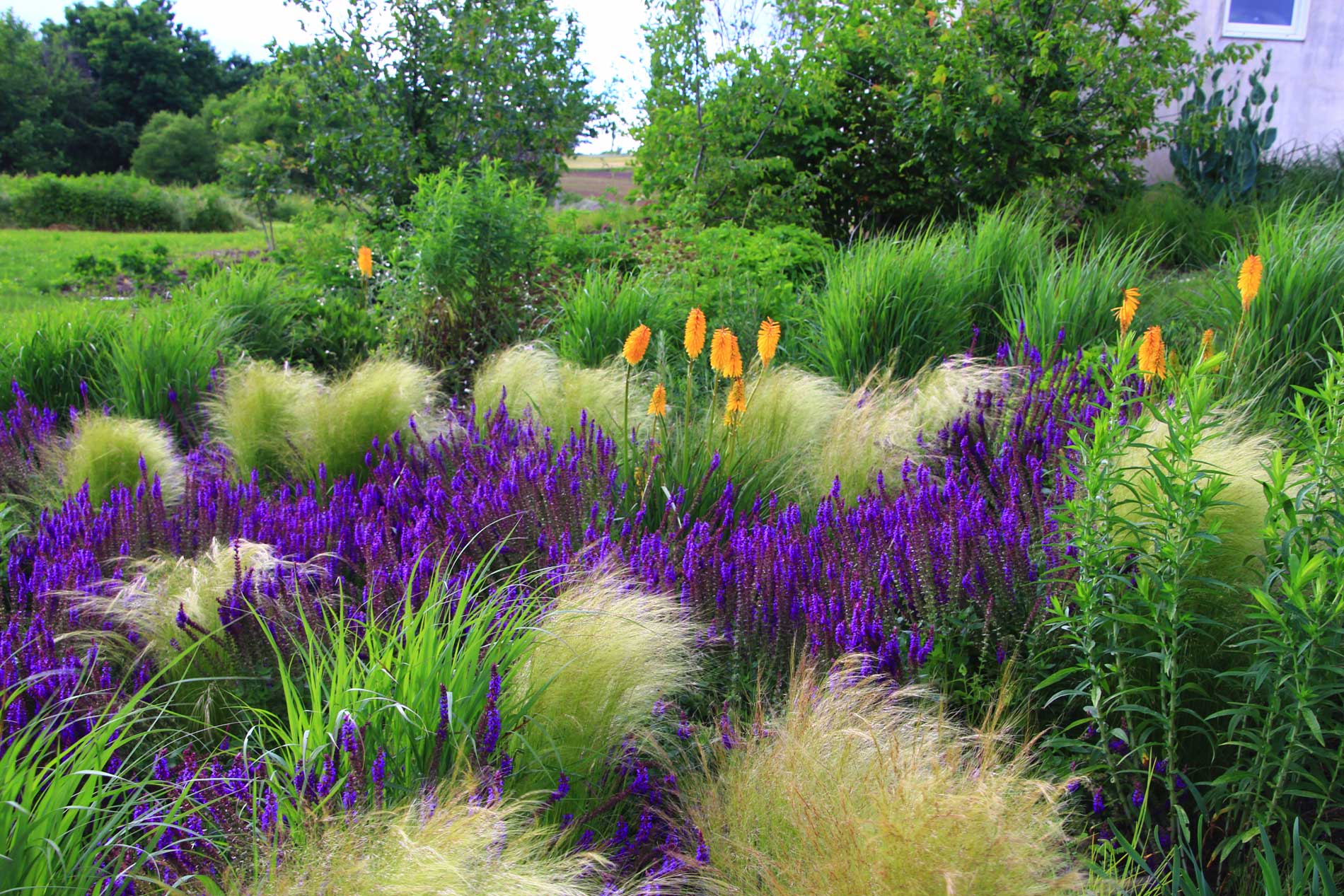 The Phoenixville Studio Donald Pell Gardens